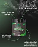 Creatina Biofitus 300g